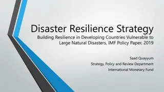 Disaster Resilience Strategy in Developing Countries Vulnerable to Natural Disasters