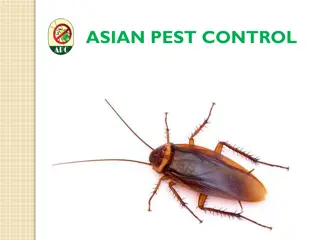Asian Pest Control - Professional Pest Management Services in Dhaka