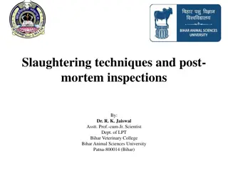 Slaughtering Techniques and Post-Mortem Inspections in Animal Agriculture