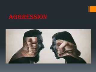 Aggression: Causes and Solutions