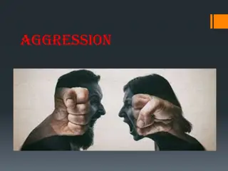 Understanding Aggression: Causes and Solutions