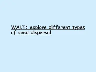 Understanding Seed Dispersal in Flowering Plants