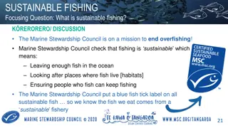 Understanding Sustainable Fishing Practices and Conservation Efforts