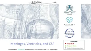Understanding the Meninges, Ventricles, and CSF in the Central Nervous System