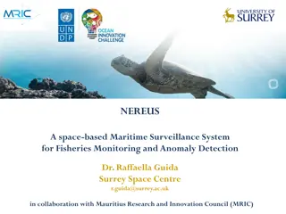 NEREUS - Space-based Maritime Surveillance System for Fisheries Monitoring