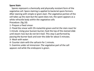 Bacterial Staining Techniques Overview