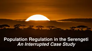 Population Regulation in the Serengeti: An Interrupted Case Study