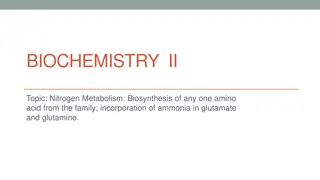 Nitrogen Metabolism: Amino Acid Biosynthesis and Ammonia Incorporation