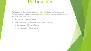 Pollination: Types and Factors