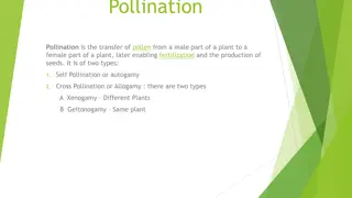 Understanding Pollination: Types and Factors