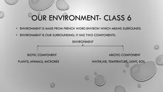 Our Environment: Class 6 Overview