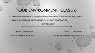 Understanding Our Environment: Class 6 Overview