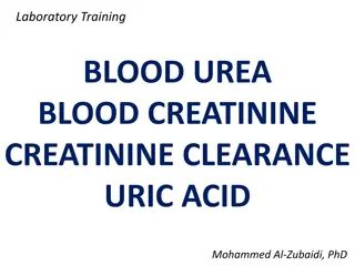 Kidney Function and Laboratory Tests