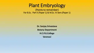 Insights into Plant Embryology: Points to Remember for Botany Students