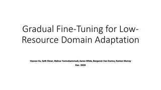 Gradual Fine-Tuning for Low-Resource Domain Adaptation: Methods and Experiments