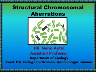 Understanding Structural Chromosomal Aberrations and Their Impact on Genetic Information