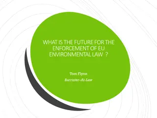 Challenges and Future of EU Environmental Law Enforcement
