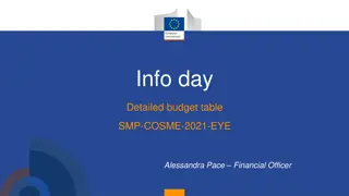 Detailed Budget Table for SMP-COSME 2021 EYE Project