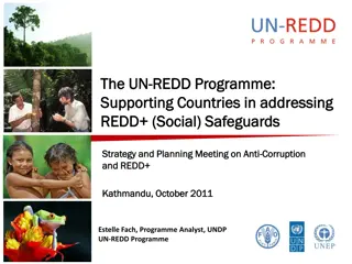 UN-REDD Programme and Safeguards: Ensuring Social and Environmental Integrity