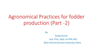 Agronomical Practices for Fodder Production - Part 2