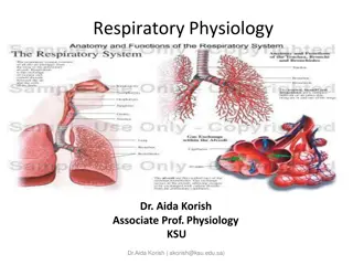 The Respiratory System and Its Functions