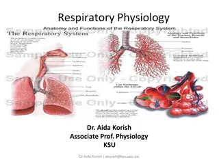 Understanding the Respiratory System and Its Functions