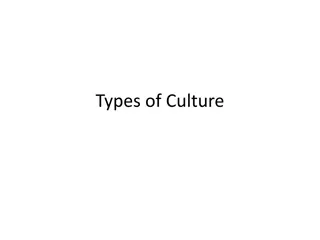 Popular Culture: Classification and Impact