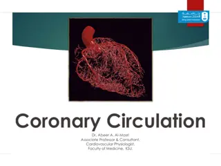 Coronary Circulation and Arterial Supply in Cardiovascular Physiology