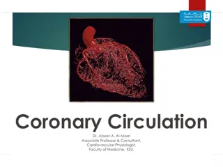 Understanding Coronary Circulation and Arterial Supply in Cardiovascular Physiology