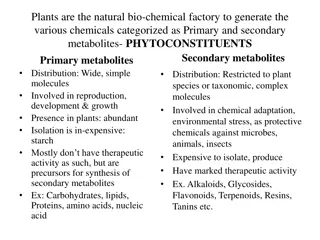 Plants: Primary Vs. Secondary Metabolites and Alkaloids