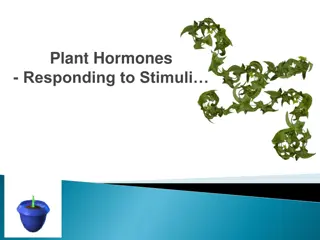 Plant Hormones and Their Role in Growth and Development