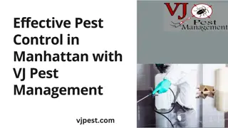 Effective Pest Control in Manhattan with VJ Pest Management