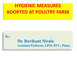 Hygienic Measures for Poultry Farm Management