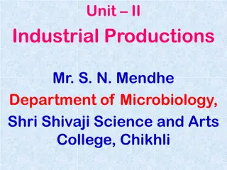 Industrial Production of Acetone and Butanol from Corn