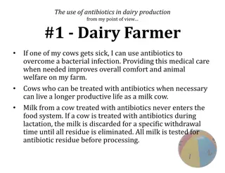 Perspectives on Antibiotics Use in Dairy Production