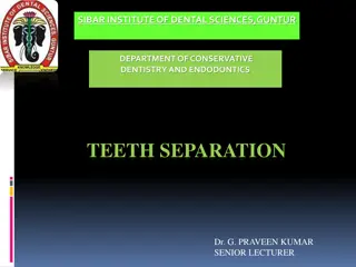 Tooth Separation in Conservative Dentistry and Endodontics: Methods and Importance