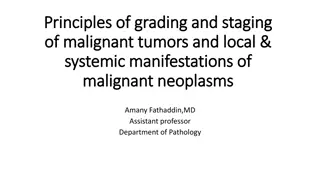 Understanding Grading and Staging of Malignant Tumors in Cancer Patients