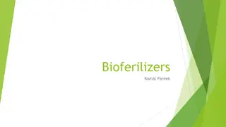 Understanding Biofertilizers for Sustainable Agriculture