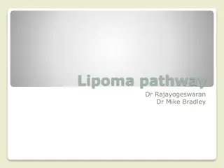 Understanding Lipomas: Clinical Features and Management Guidelines