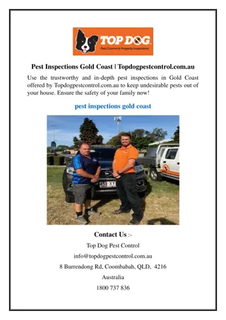 Pest Inspections Gold Coast  Topdogpestcontrol.com.au