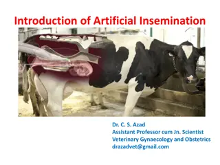 Overview of Artificial Insemination in Veterinary Practice