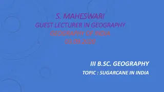 Insights into Sugarcane Cultivation in India