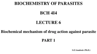 Biochemical Mechanisms of Drug Action Against Parasites