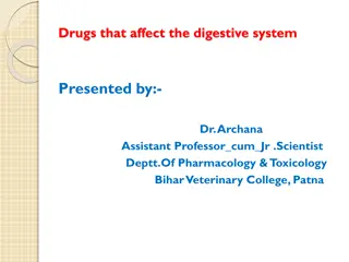 Drugs Affecting the Digestive System and Their Functions