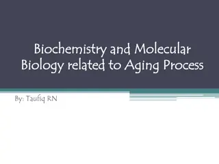 Understanding Aging Process from a Biochemical Perspective