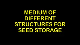 Various Structures for Seed Storage and Improved Rural Storage Methods
