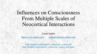 Exploring Influences on Consciousness Through Neocortical Interactions