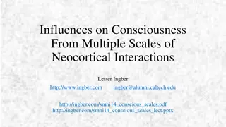 Influences on Consciousness Through Neocortical Interactions