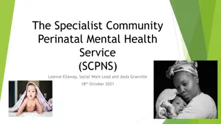 Perinatal Mental Health Teams and Risk Factors