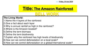 The Amazon Rainforest and Deforestation: Causes and Impacts